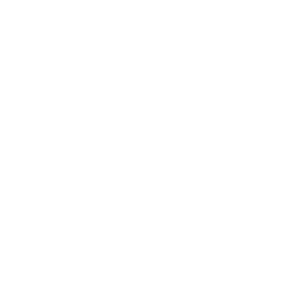 Bastion